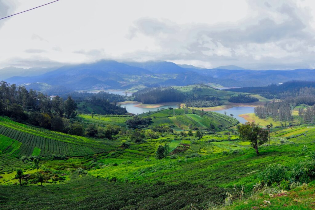 Ooty travel guide bangalore
